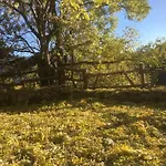 Frühstückspension Ca Dei Lenzotti 3*