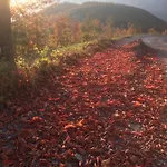 Frühstückspension Ca Dei Lenzotti 3*