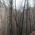 Frühstückspension Ca Dei Lenzotti 3*