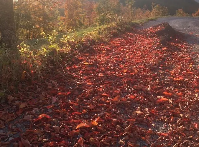 ベッド・アンド・ブレックファスト Ca Dei Lenzotti 3*