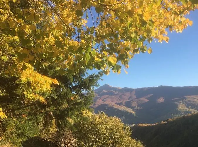 Ca Dei Lenzotti ベッド・アンド・ブレックファスト 3*