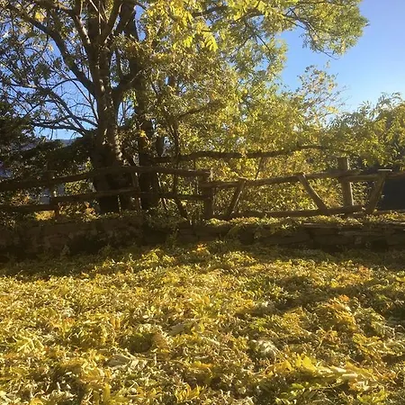 فندق مبيت وإفطار Ca Dei Lenzotti 3*