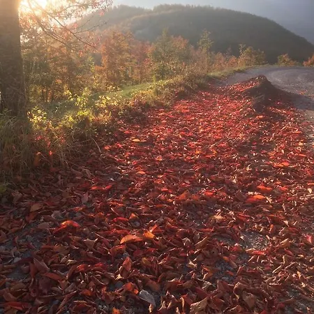 B&B Ca Dei Lenzotti 3*