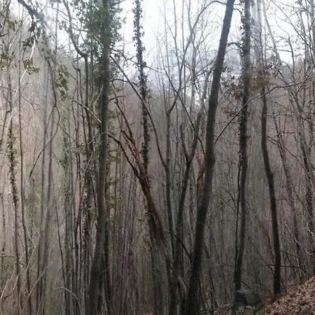 B&B Ca Dei Lenzotti 3*