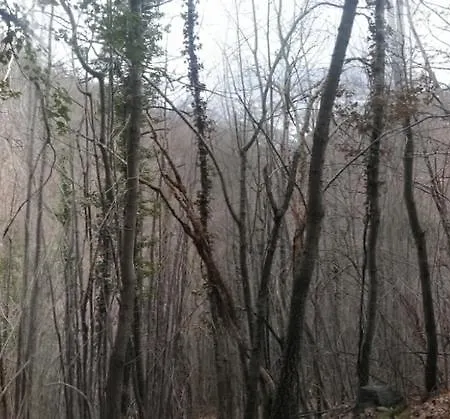 فندق مبيت وإفطار Ca Dei Lenzotti 3*