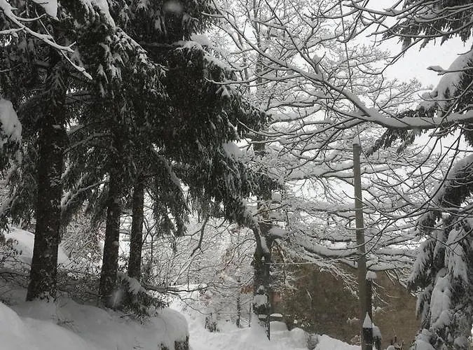 Ca Dei Lenzotti Riolunato