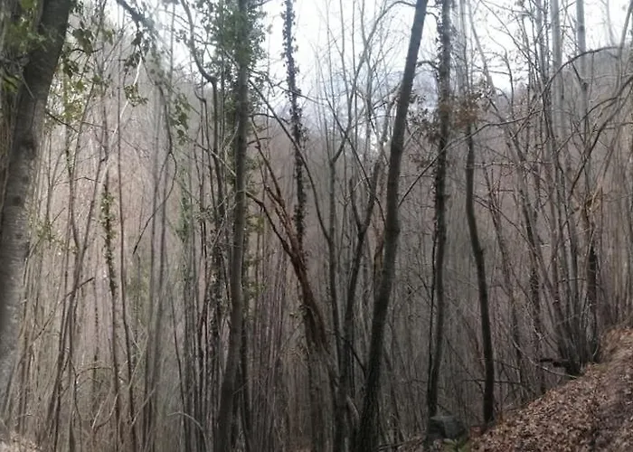 Panzió Ca Dei Lenzotti 3*