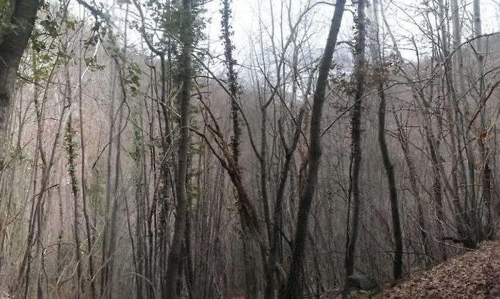 Panzió Ca Dei Lenzotti 3*